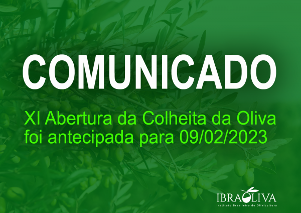 COMUNICADO OFICIAL | XI Abertura da Colheita da Oliva foi antecipada para 9 de fevereiro