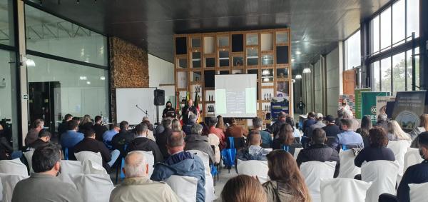 Ibraoliva marca presença no 2º Encontro Técnico da Cultura da Oliveira em Canguçu 