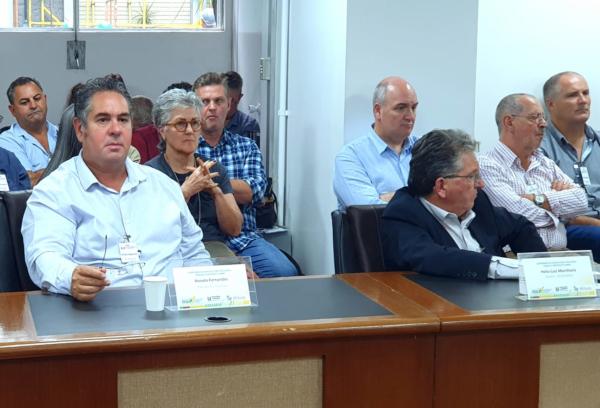 Vazamento de herbicidas hormonais reduz produção de olivas no Rio Grande do Sul