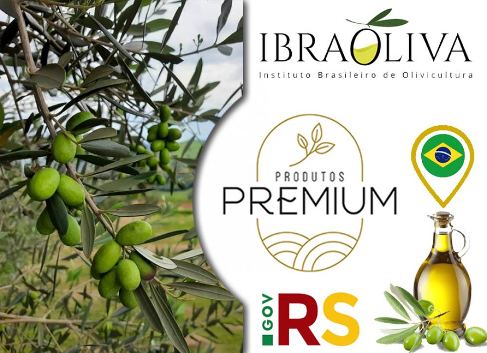 Inovação: Azeite de oliva gaúcho será alavancado pelo Programa Produtos Premium