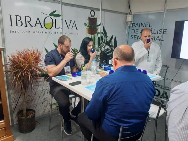 Ibraoliva alerta para procedência dos azeites reprovados pelo Ministério da Agricultura