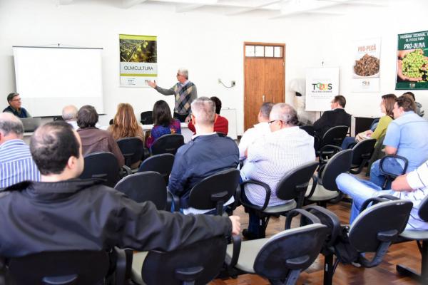 Produtores avançam na formação de um Instituto Brasileiro da Olivicultura