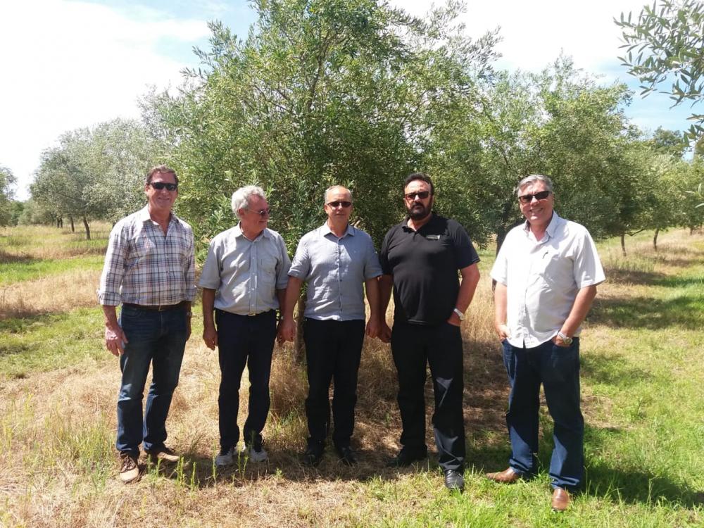 8ª ABERTURA OFICIAL DA COLHEITA DA OLIVA SERÁ NO DIA 15 DE MARÇO