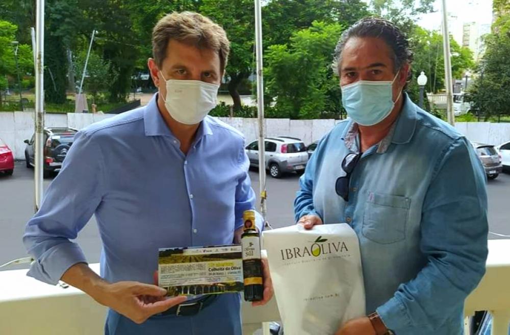 Diretoria do Ibraoliva finaliza preparativos para 10ª Abertura da Colheita da Oliva